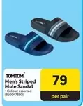TomTom - Men's Striped Mule Sandal (850047390)
