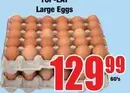 Large Eggs