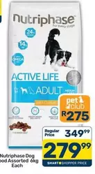Omega - Dog Food Assorted