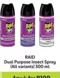 Raid - Dual Purpose Insect Spray