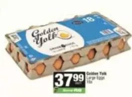 Golden Yolk - Large Eggs