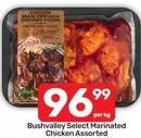 Select - Chicken Braai Espetada