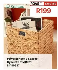 Spaceo - Polyester Box Hyacinth L 31x31x31