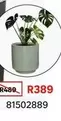 Oslo Plant Pot Large Sage Green Lightweight