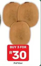 Kiwi -