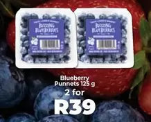 Blueberry Punnet