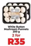 White Button Mushroom Punnets
