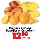 Oranges, Lemons, Naartjies or Grapefruit