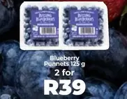 Blueberry Punnet