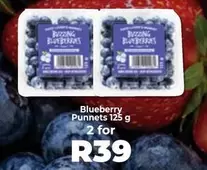 Blueberry Punnet