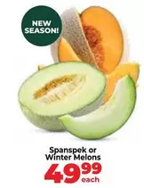 Spanspek or Winter Melons