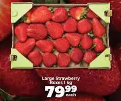 Strawberry Boxes