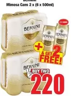 Bernini - Mimosa Cans