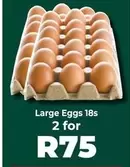 Large Eggs