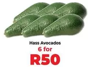 Hass Avocados