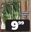 SPINACH BUNCH