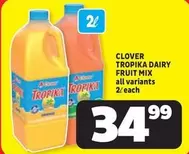 Clover - TROPPIKA DAIRY FRUIT MIX