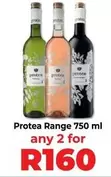 Protea - Range
