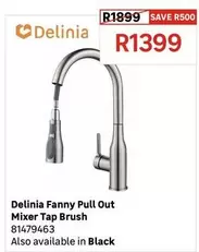 Delinia Fanny Pull Out Mixer Tap Brush 81479463