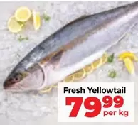 Fresh Yellowtail