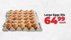 Large Eggs