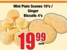 Mini - Plain Scones 10's / Ginger Biscuits 4's