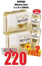 Bernini - Mimosa Cans