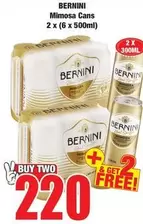 Bernini - Mimosa Cans