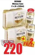 Bernini - Mimosa Cans