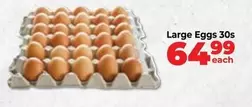 Large Eggs