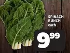 SPINACH BUNCH