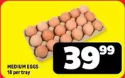 MEDIUM EGGS