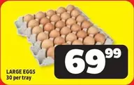 LARGE EGGS