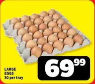 LARGE EGGS