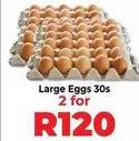 Large Eggs