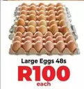 Large Eggs