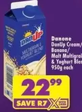 Danone - Multigrain & Yoghurt Blend