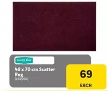 48 x 70 cm Scatter Rug (462994)