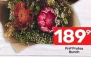 Protea -  Bunch