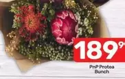 Protea -  Bunch