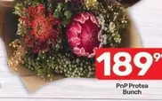 Protea -  Bunch