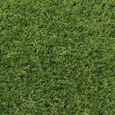 Lockweave Grasslands Admire 25