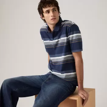 Levi's® Men's Authentic Polo
