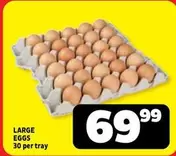 LARGE EGGS