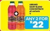 DAIRY BLEND CONCENTRATE