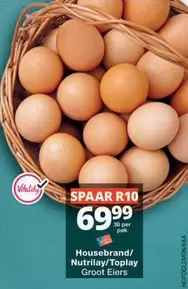 Groot Eiers