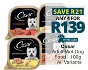 Cesar - Adult Wet Dog Food