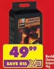 BB - Charcoal Briquettes