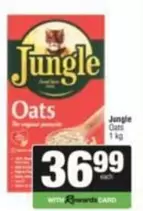 Jungle Oats - Oats