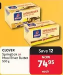 Clover - Springbok or Mooi River Butter